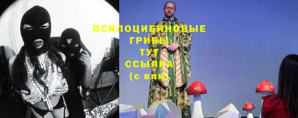 хмурый Абинск