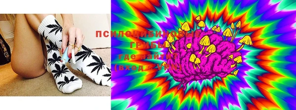 круглые Алзамай