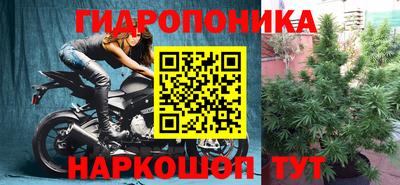 индика Славянск-на-Кубани