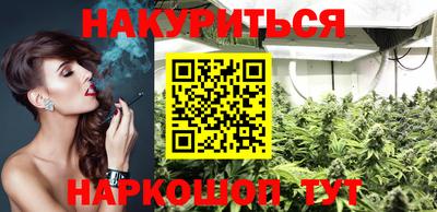 дмт Славгород