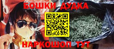 дмт Славгород