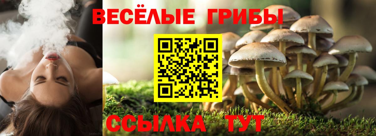 Россошь  наркошоп  Галлюциногенные грибы GOLDEN TEACHER  Вход с VPN  Галлюциногенные грибы GOLDEN TEACHER 
